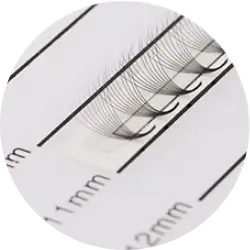 Premade Fan Lashes Root