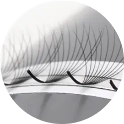 Premade Fan Lashes Stable curl