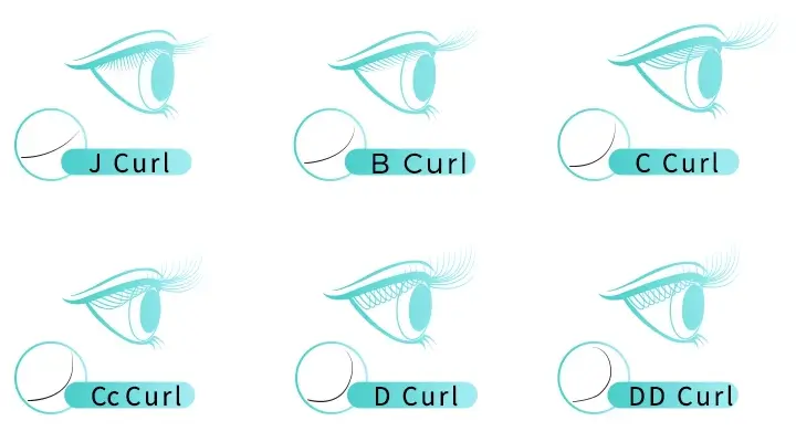Premade Fan Extensions Lashes Curl